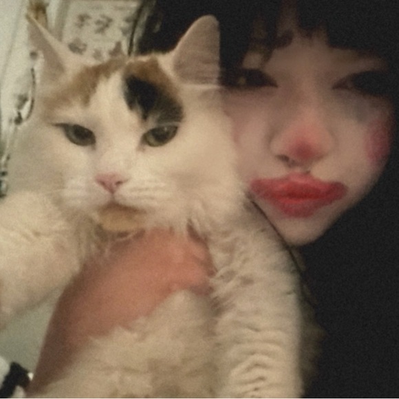 aiko_usagii